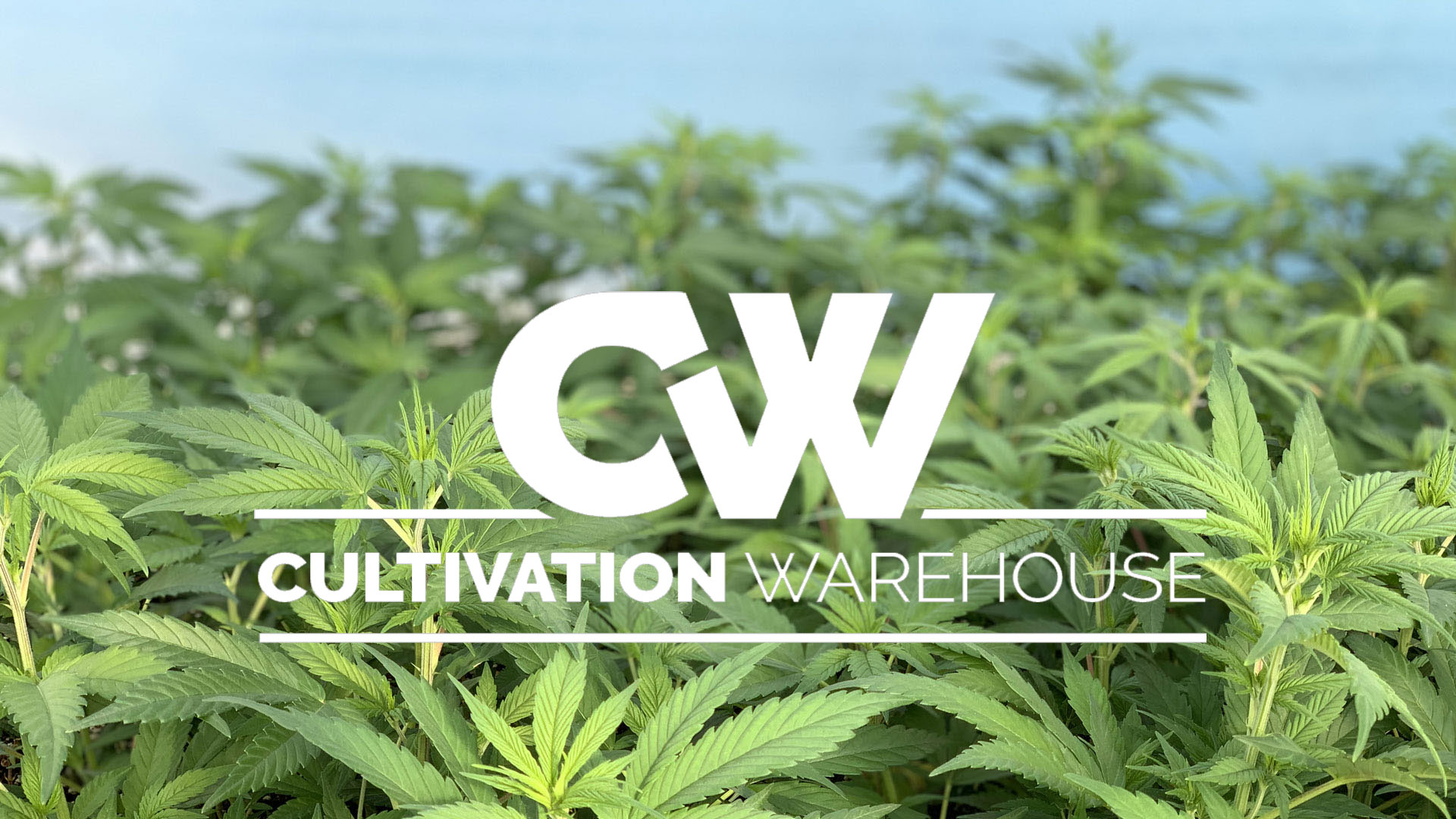New branding for a New Era of CW